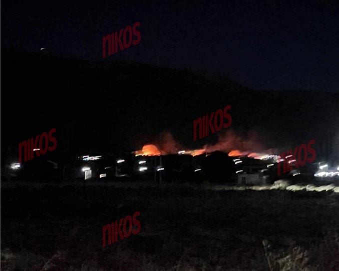 ΦΩΤΙΑ ΟΙΝΟΗ ΕΞΩ