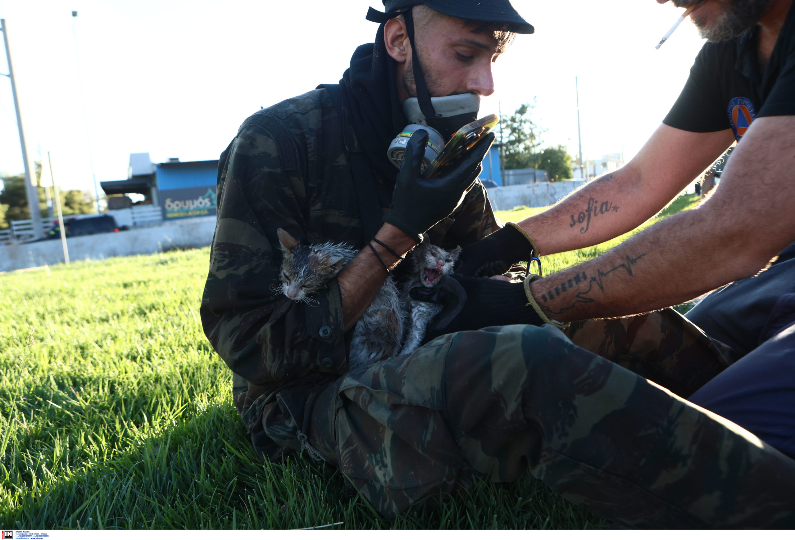 φωτιά στις Αχαρνές