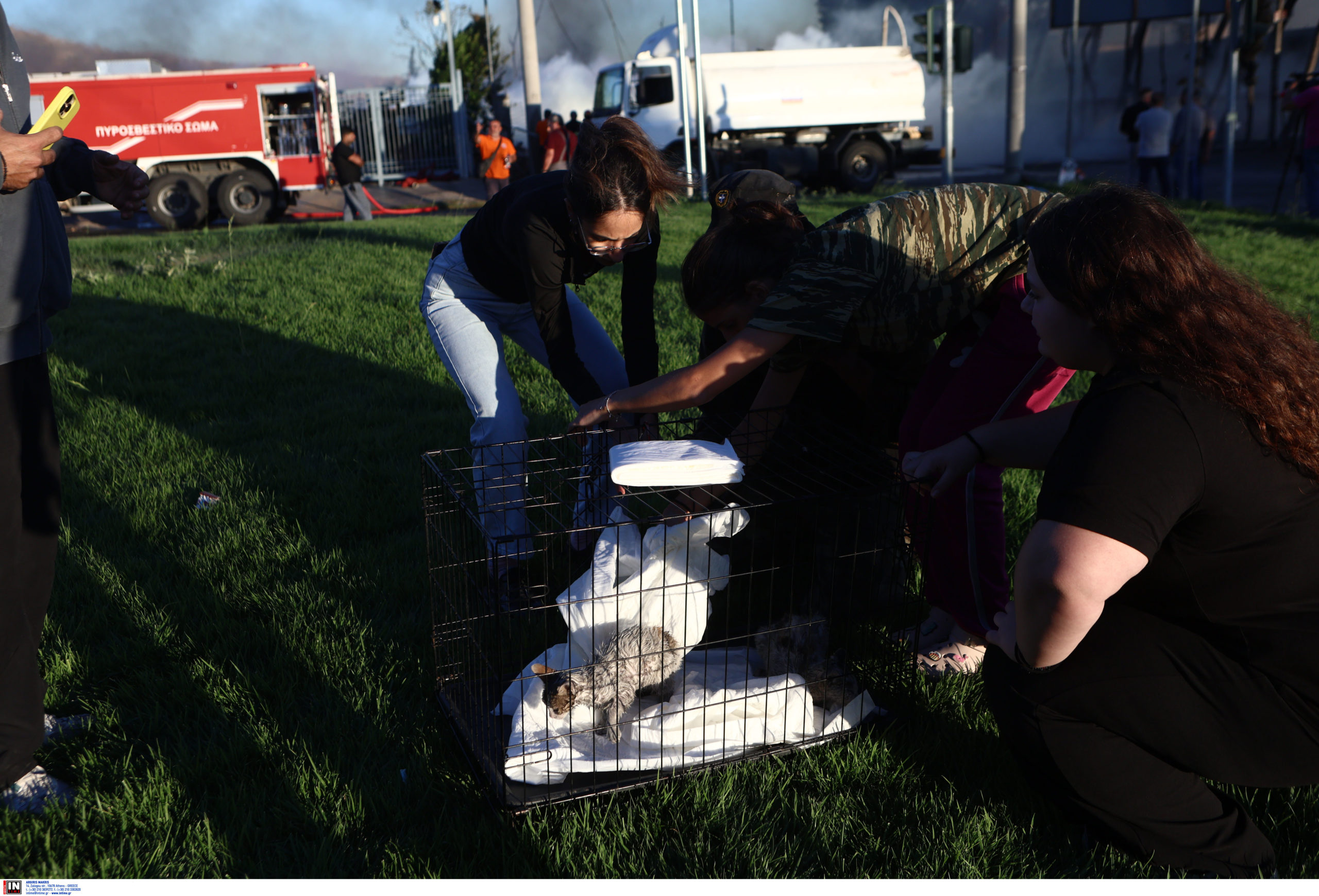 φωτιά στις Αχαρνές