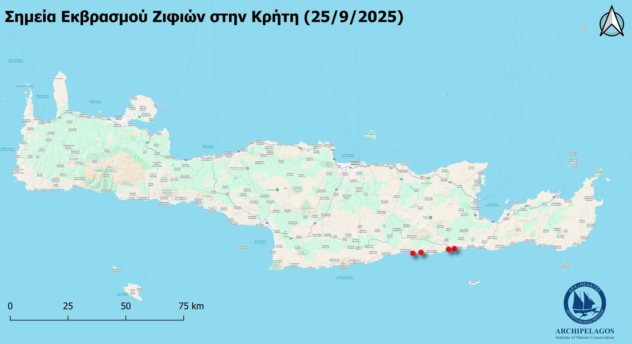 Κρήτη, Ζιφίες