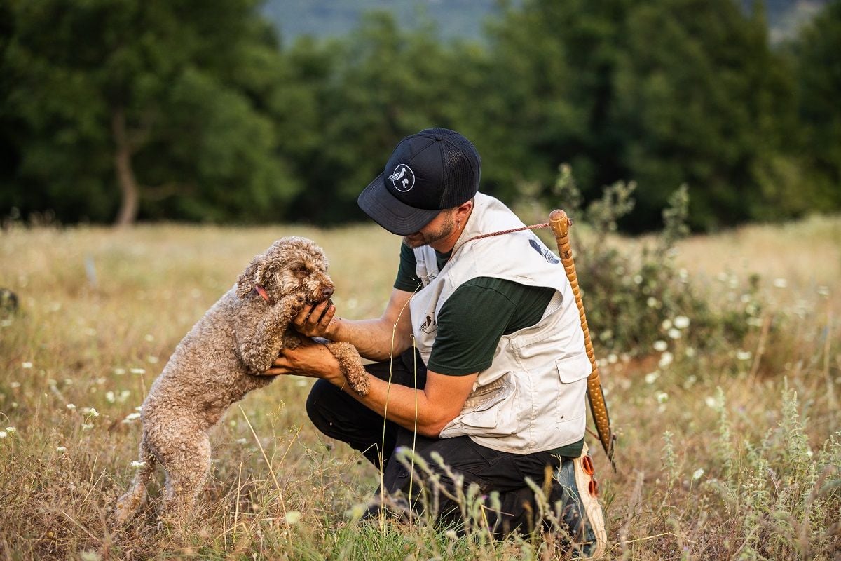 Κυνήγι τρούφας με άλογα στα Μετέωρα