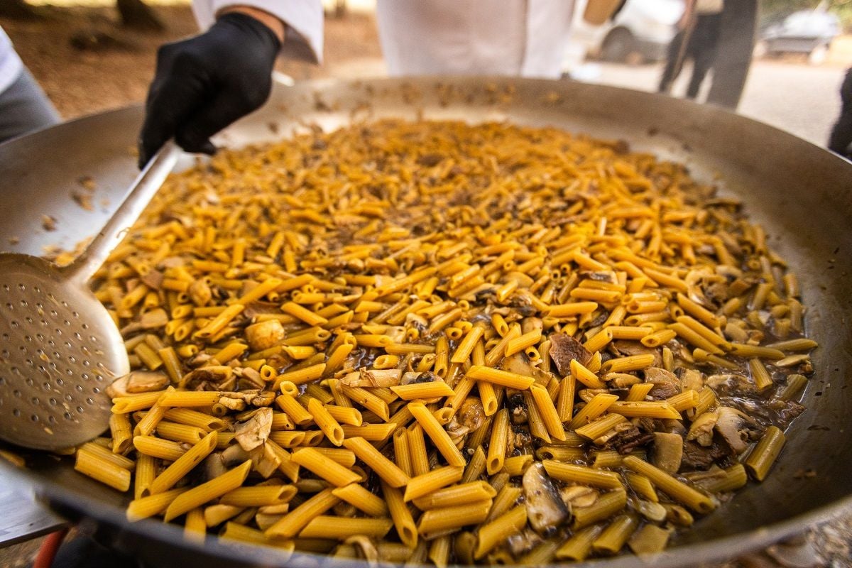 Κυνήγι τρούφας με άλογα στα Μετέωρα