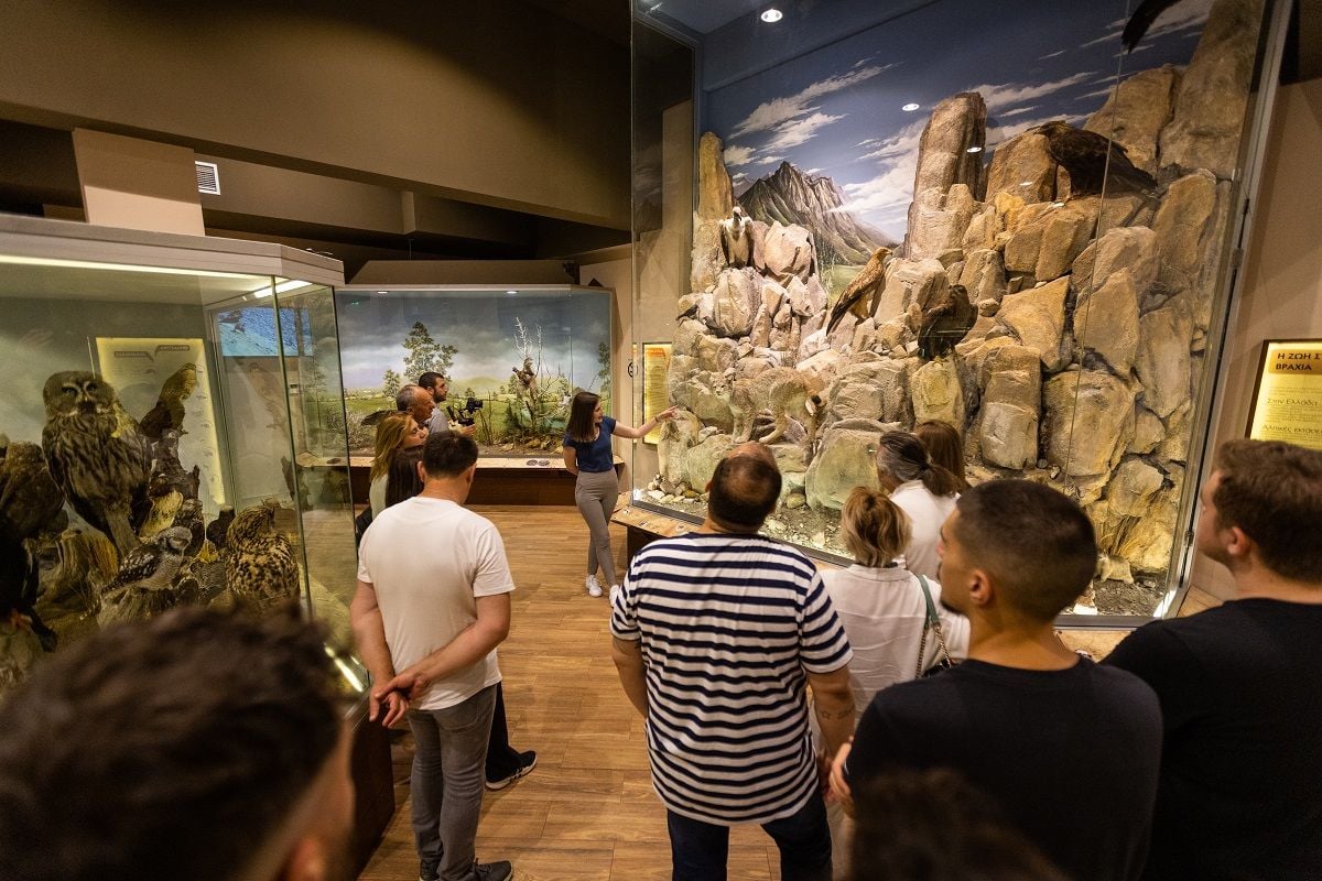 Κυνήγι τρούφας με άλογα στα Μετέωρα