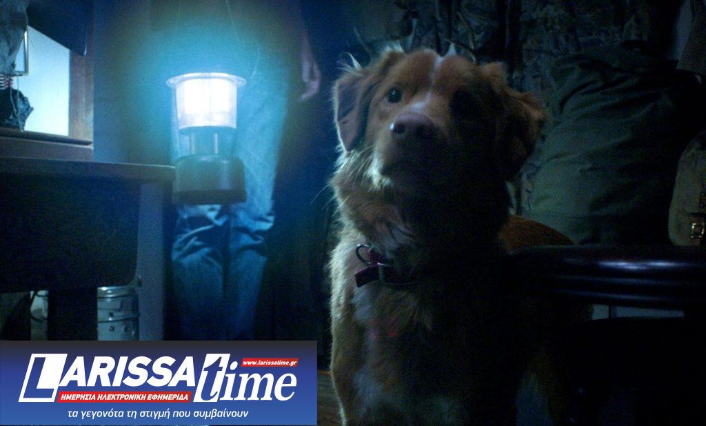 RFF20: Δύο διαφορετικά «Good Boy(s)» — ποιον λέμε τελικά «καλό παιδί»;