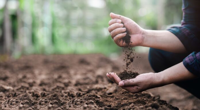 Soil.jpg