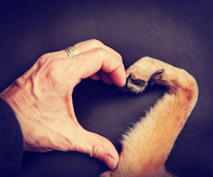dog-man.jpg