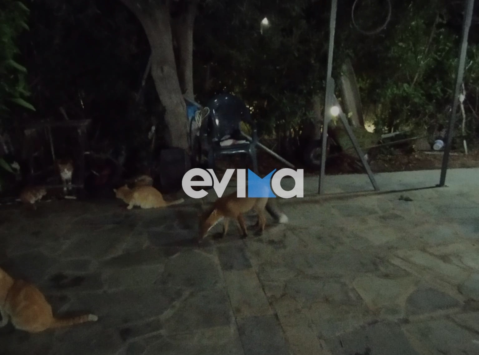 Εύβοια, Κάρυστος, Αλεπού