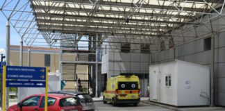 Βελεστίνο: Μοσχάρι επιτέθηκε σε κτηνοτρόφο σε φάρμα