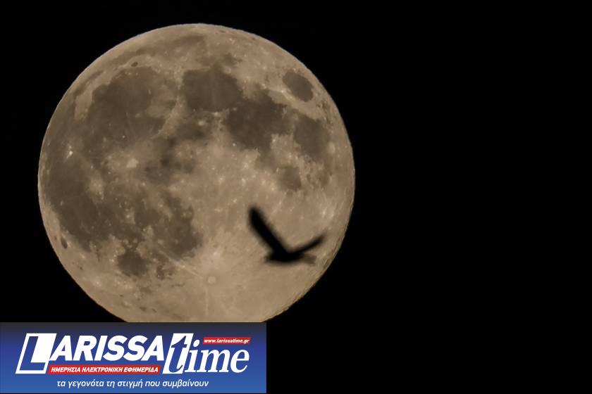 MOON, FEGGARI, PANSELINOS