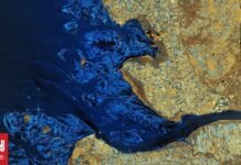 Γη του Πυρός, Παγετώνες: Οι πρώτες εικόνες υψηλής ανάλυσης από τον δορυφόρο Copernicus Sentinel-1D