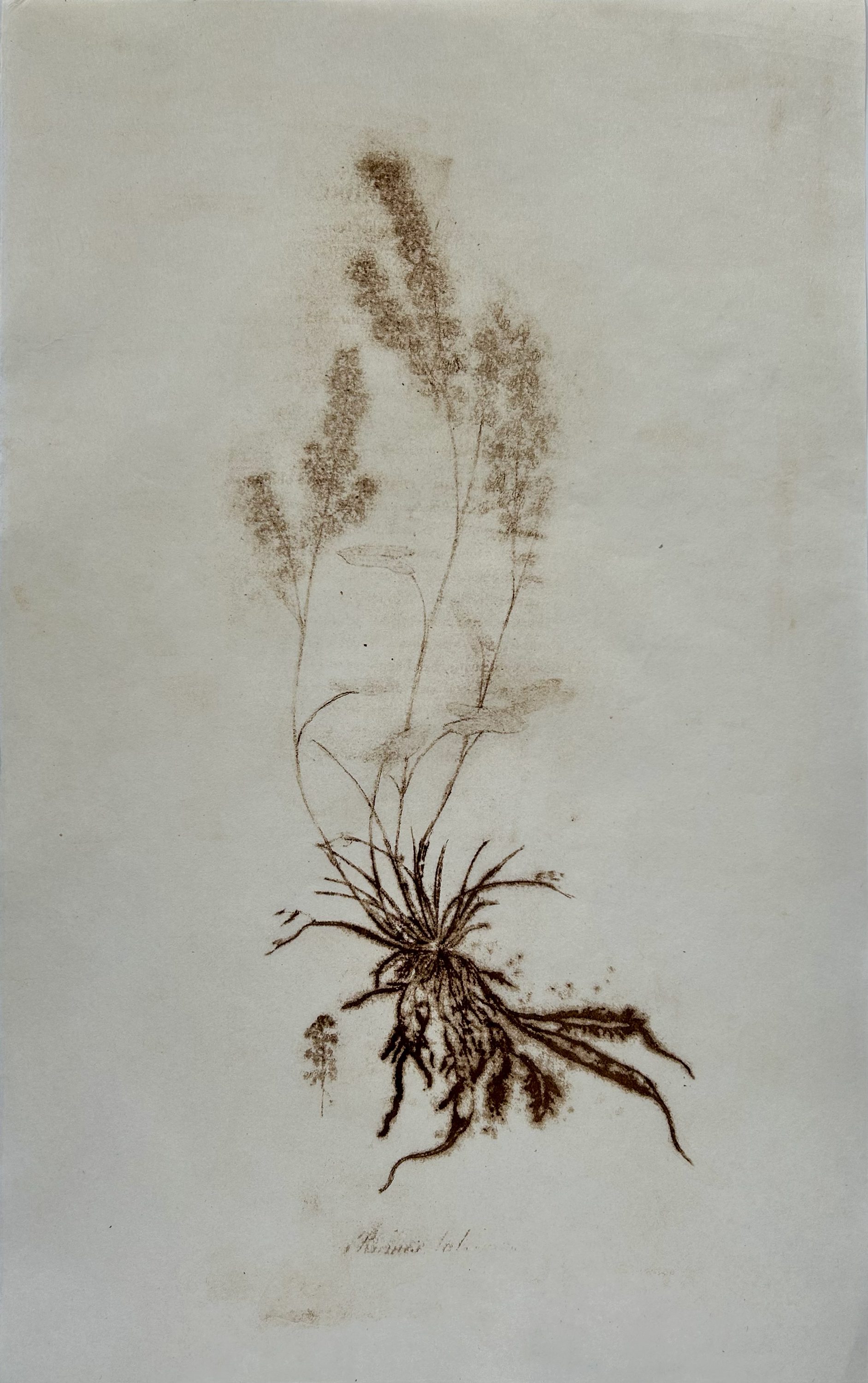 ΑΦΗγήματα. Η ΑΦΗcollective στη Γεννάδειο Βιβλιοθήκη