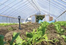 Η ενεργειακή αναβάθμιση θερμοκηπίων στο επίκεντρο διαδικτυακού σεμιναρίου του Δημοκρίτειου Πανεπιστημίου Θράκης