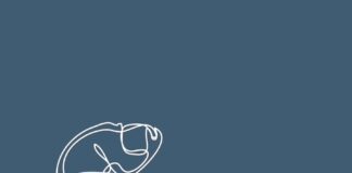 «Η απογοήτευση είναι παιδί της προσδοκίας» – William Shakespeare