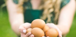 Αυγά: Ένα… παρεξηγημένο superfood. Τι ισχύει τελικά με τη χοληστερίνη;