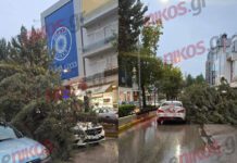 Κακοκαιρία Adel: Δέντρο έπεσε πάνω σε αυτοκίνητο στη Νέα Ιωνία