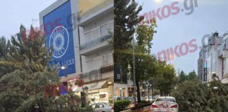 Κακοκαιρία Adel: Δέντρο έπεσε πάνω σε αυτοκίνητο στη Νέα Ιωνία