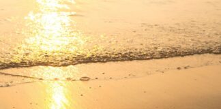 Η αγάπη είναι ένα βλέμμα που δεν χρειάζεται λόγια, και μια σιωπή που δεν κουβαλά μοναξιά