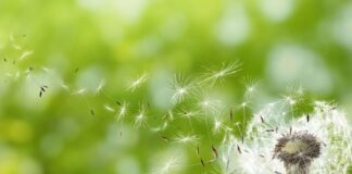 Όταν εμείς αλλάζουμε, αλλάζει κι η πραγματικότητά μας