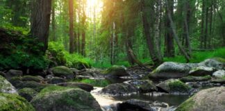 Αυτό που με καθοδηγεί είναι η επίγνωση του πότε να κρατώ γερά το τιμόνι και πότε να αφήνω τη ζωή να με παρασύρει