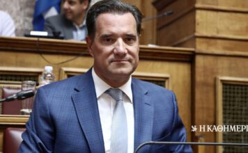 Γεωργιάδης: Στηρίζω τα μέτρα Χρυσοχοΐδη – Προσωπική η άποψή για την οπλοκατοχή