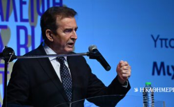 Χρυσοχοΐδης για ενδοοικογενειακή βία: 450 καταγγελίες τον μήνα, αύξηση 12% στο panic button