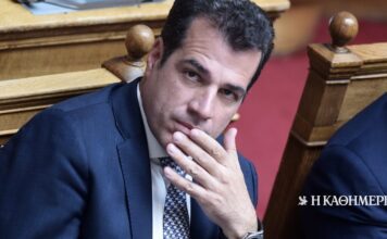 Πλεύρης μετά την καταδίκη μεταναστών στις Σέρρες: Το μέλλον τους στην Ελλάδα προδιαγεγραμμένο