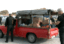 Θεσσαλονίκη: Αστυνομικοί έλεγχοι για δεύτερη ημέρα στον οικισμό Αγία Σοφία