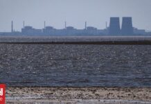 Άρχισαν οι εργασίες επιδιόρθωσης στον πυρηνικό σταθμό της Ζαπορίζια μετά την τοπική εκεχειρία