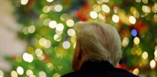 Η Ευρώπη μπροστά σε μια νέα πρόκληση – Τις παρεμβάσεις Τραμπ στις εκλογές