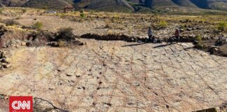 Πάνω από 16.000 ίχνη βρέθηκαν σε έναν «αυτοκινητόδρομο δεινοσαύρων» στη Βολιβία