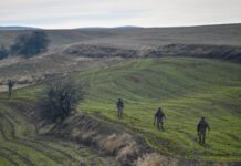 Γαλλία: Δύο Γάλλοι πολίτες ήταν μεταξύ των θυμάτων της συντριβής του Falcon 50 στην Τουρκία