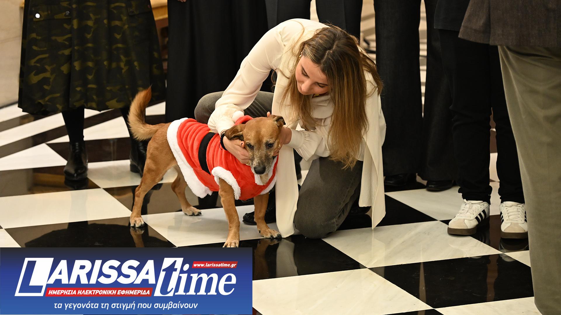 Τα κάλαντα των Χριστουγέννων στον Μητσοτάκη από το Μουσικό Σχολείο Αλίμου-3