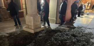 Διαμαρτυρία αγροτοκτηνοτρόφων στο Ηράκλειο: Πέταξαν φύλλα από ελιές έξω από την Περιφέρεια Κρήτης