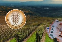 Με αρχηγικό ρόλο γνωστός συνδικαλιστής – Έλαβαν 1,7 εκατ. ευρώ