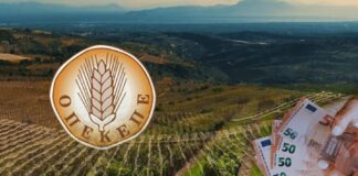 Με αρχηγικό ρόλο γνωστός συνδικαλιστής – Έλαβαν 1,7 εκατ. ευρώ