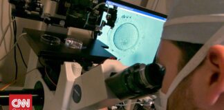 Γιατί οι δωρητές σπέρματος έχουν εκατοντάδες παιδιά – To «σπέρμα των Βίκινγκ» και οι κίνδυνοι