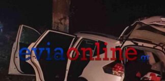 Εύβοια: Αυτοκίνητο βγήκε εκτός δρόμου και καρφώθηκε σε δέντρο – Μία τραυματίας