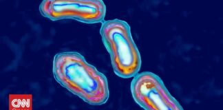 Μία ηφαιστειακή έκρηξη προκάλεσε τη μαύρη πανώλη, αποκαλύπτει νέα έρευνα