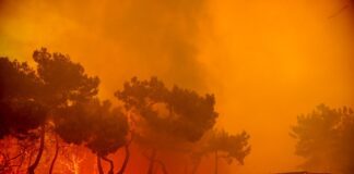 Προδιαγεγραμμένη καύση: Το νέο μοντέλο πρόληψης πυρκαγιών και διαχείρισης της καύσιμης ύλης