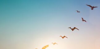 Κάθε φορά που αφαιρείται κάτι περιττό, ανοίγει χώρος για κάτι αληθινό