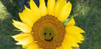 Στο τέλος της ημέρας, δεν χρειάζεται να ρωτάμε «είμαι ευτυχισμένος;» αλλά «είμαι παρών;»