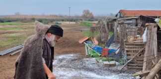 Κατέρρευσε ο κτηνοτρόφος που αποχαιρέτησε με δάκρυα τα 450 πρόβατά του – Νοσηλεύεται με συμπτώματα εγκεφαλικού