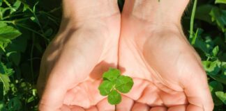 Κάποιες φορές δεν παίρνουμε αυτό που θέλουμε. Και κάποιες φορές, αυτό είναι τύχη