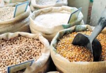 Δίκαιη προσαρμογή συνδεδεμένης στα όσπρια ζητούν οι βιοκαλλιεργητές Θεσσαλίας