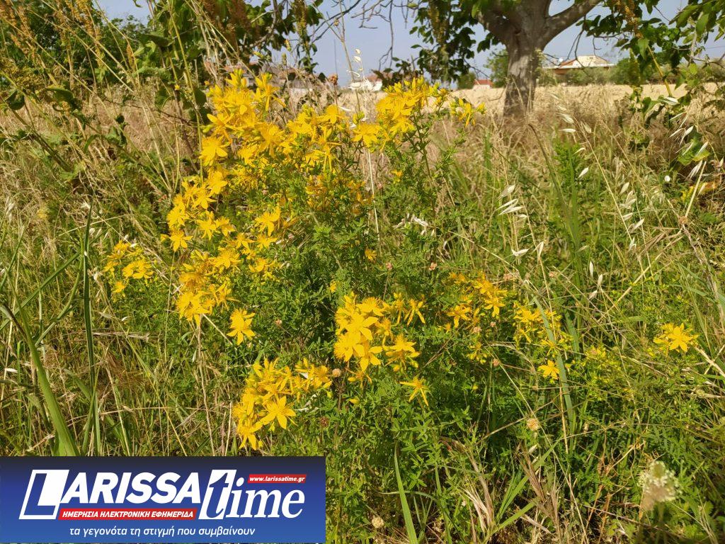 ΥΠΠΟ: Τρία νέα στοιχεία στο Εθνικό Ευρετήριο Άυλης Πολιτιστικής Κληρονομιάς της Ελλάδας