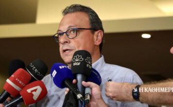 Φάμελλος: «Η κυβέρνηση αντιμετωπίζει τους αγρότες με αυταρχισμό και βία»