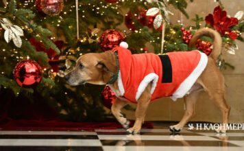 Ο φόβος για τουρκική «υποτροπή»