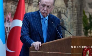 Ερντογάν: Πρωτοχρονιάτικο μήνυμα με αναφορές στη «γαλάζια πατρίδα»