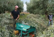 Αλλάζει τον καλλιεργητικό προσανατολισμό μονάδων η έλλειψη εργατών γης