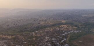 Αργεντινή: Μεγάλες δασικές πυρκαγιές στην Παταγονία – Η κυβέρνηση κηρύσσει κατάσταση έκτακτης ανάγκης